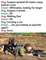 1780323001371.png