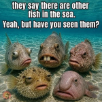 1780327387680.png