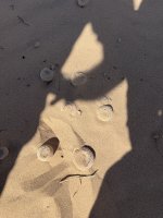 IMG_1807.jpeg