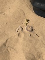 IMG_1814.jpeg