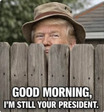 1780411277391.png
