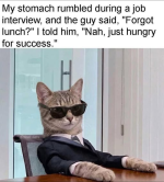 1780411307936.png