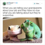 1780419063390.png