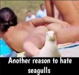 1780489353924.png
