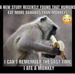 1780490250400.png