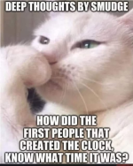 1780491194947.png