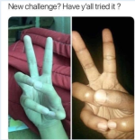 1780491395505.png