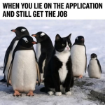 1780491570050.png