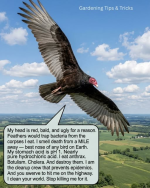 1780491674809.png