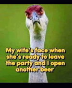 1780667241593.png