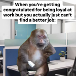 1780668642171.png