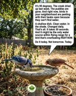 1780668743886.png