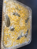 IMG_4329.jpeg