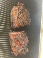 IMG_4327.jpeg