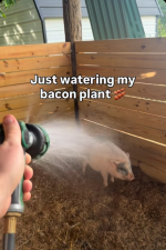1780787368923.png