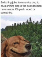 1780846712499.png