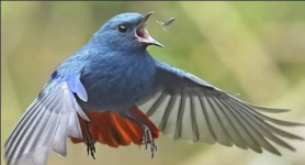 1780928237228.png