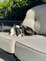 IMG_0825.jpeg
