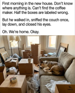 1780957723641.png