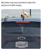 1780959068179.png