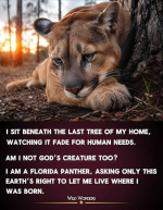 1780959289644.png