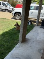 IMG_1231.jpeg