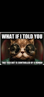 1781008362224.png