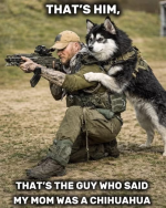1781033435227.png