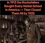 1781097873290.png