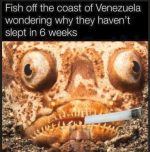 1781119806544.png
