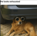 1781125748999.png