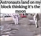 1781276183063.png