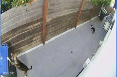 IMG_0941.jpeg