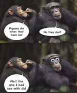 1781286005018.png