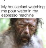 1781364167419.png