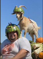 1781372012175.png