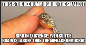 1781468475107.png