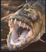 1781547826713.png