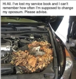1781548052641.png