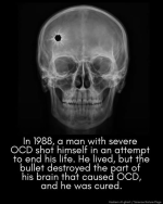 1781569203811.png