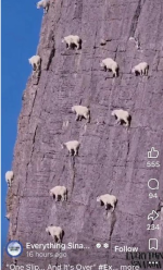 1781570616748.png