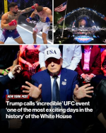 1781615463974.png