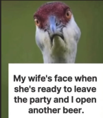 1781622154528.png
