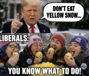 1781627340675.png