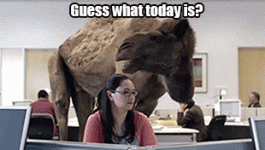 1781702151559.gif