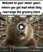 1781703598606.png