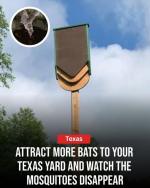 1781711563732.png
