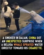 1781711610815.png