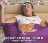 1781720205691.png