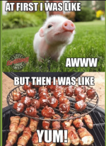 1781726137750.png